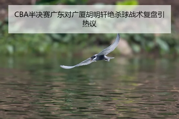 ban-jue-sai-guang-dong-dui-guang-sha-hu-ming-xuan-jue-sha-qiu-zhan-shu-fu-pan-yin-re-yi-2-213.jpg